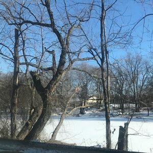 Meet your Posher, Yadhira